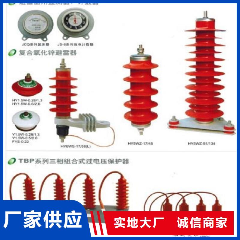 避雷器高压负荷开关源头厂家来图定制同城品牌