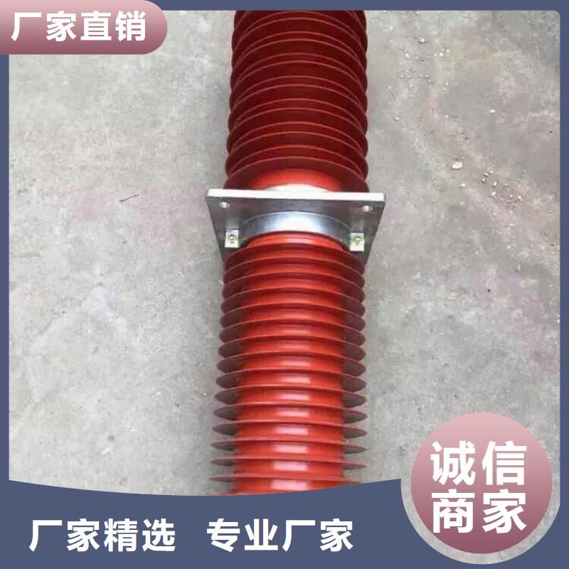 复合穿墙套管真空断路器有口皆碑羿振【断路器】