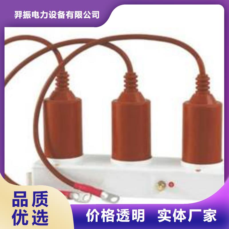 过电压保护器绝缘子自产自销由羿振为您