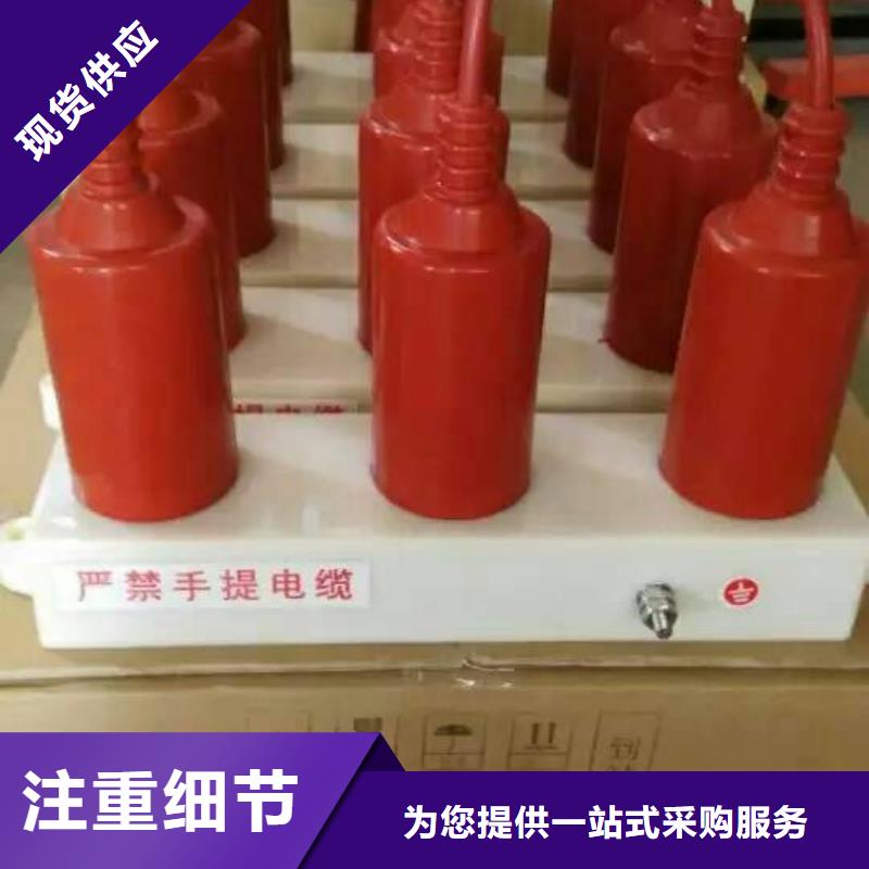 供应商过电压保护器真空断路器一站式采购