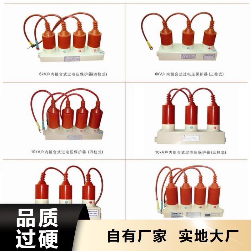 过电压保护器绝缘子自产自销由羿振为您