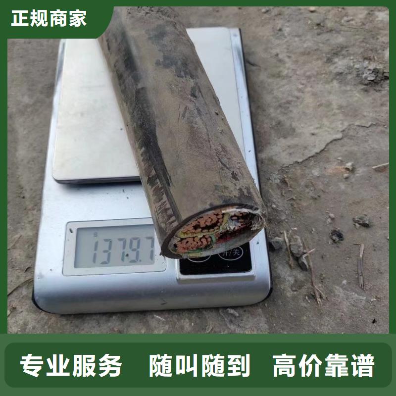 网格桥架-视频-宁波市网格桥架-浙江省宁波市慈溪|镇海|丽水|温州|绍兴|台州|湖州本地经销商