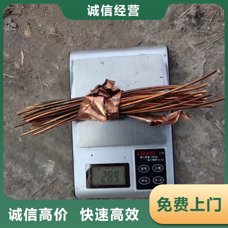网格桥架-视频-宁波市网格桥架-浙江省宁波市慈溪|镇海|丽水|温州|绍兴|台州|湖州本地经销商