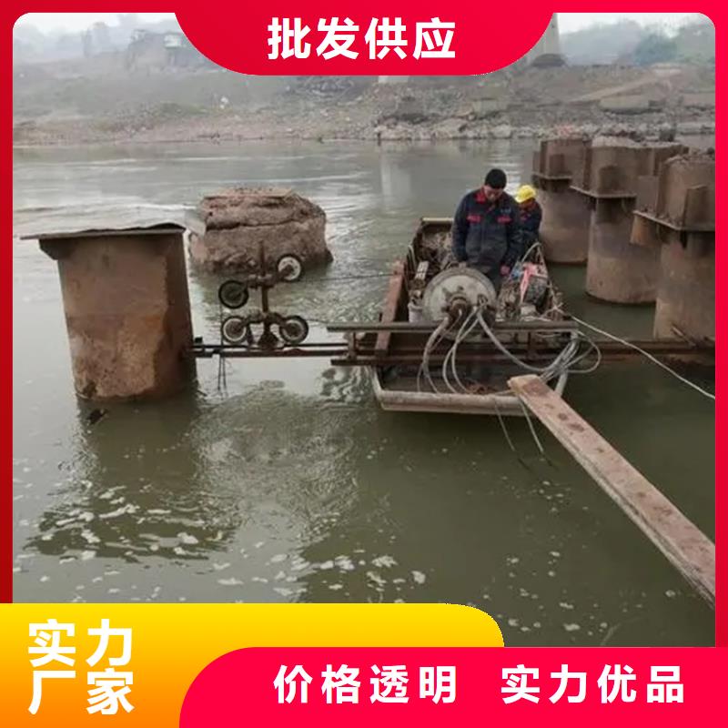 水下探摸工程视频-铁岭市水下探摸工程-(当地)可服务区域西丰|昌图|辽阳|朝阳|本溪|锦州