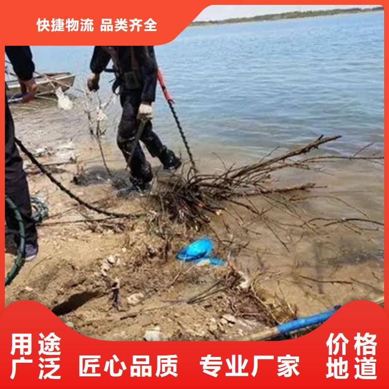 龙强水下探摸工程【打捞公司】 管道水下安装实力雄厚