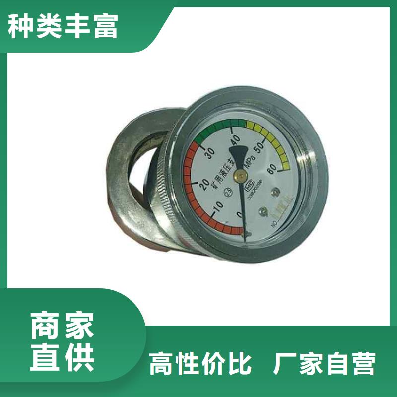 单体支柱测压仪经久耐用