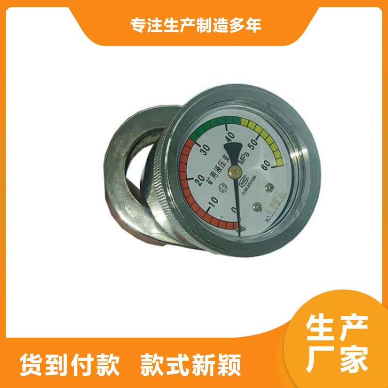 单体支柱测压仪实体厂家