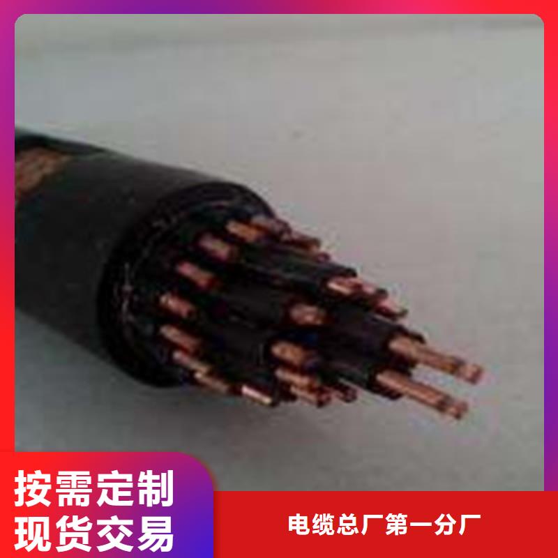 特种电缆-电缆生产厂家贴心服务