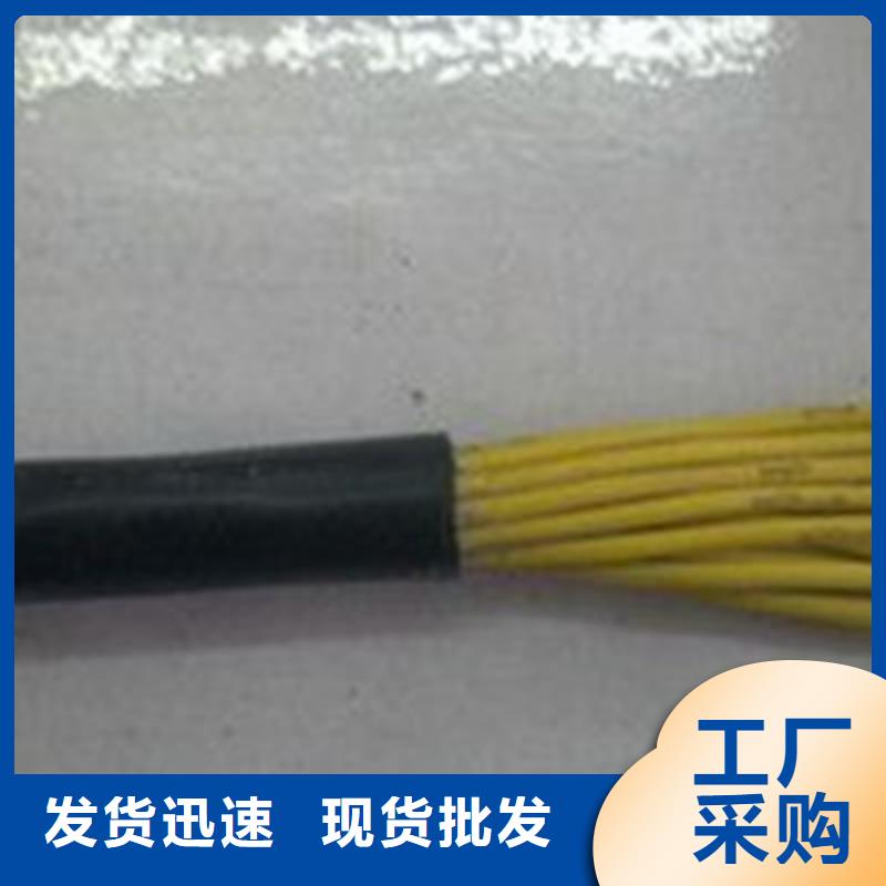 【特种电缆】屏蔽电缆快速生产