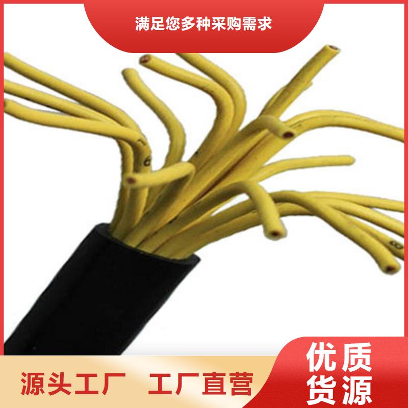 屏蔽电缆视频-屏蔽电缆-甘肃省天水市此地货源-秦州|秦安|张掖|甘南|兰州|白银|金昌