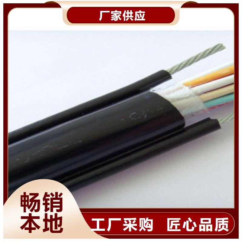 特种电缆信号电缆厂家直销大量现货