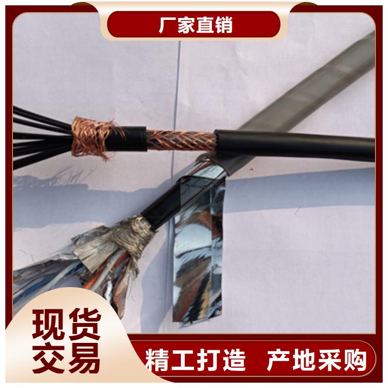 屏蔽电缆-视频-屏蔽电缆|天水市|秦安|武山|庆阳|武威|平凉|甘南|临夏|嘉峪关