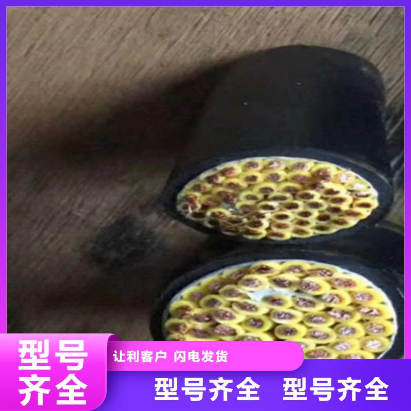 【特种电缆_屏蔽电缆制造生产销售】
