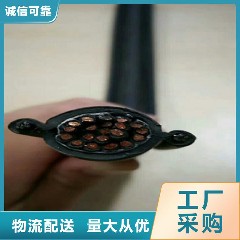 屏蔽电缆视频-屏蔽电缆-甘肃省天水市此地货源-秦州|秦安|张掖|甘南|兰州|白银|金昌