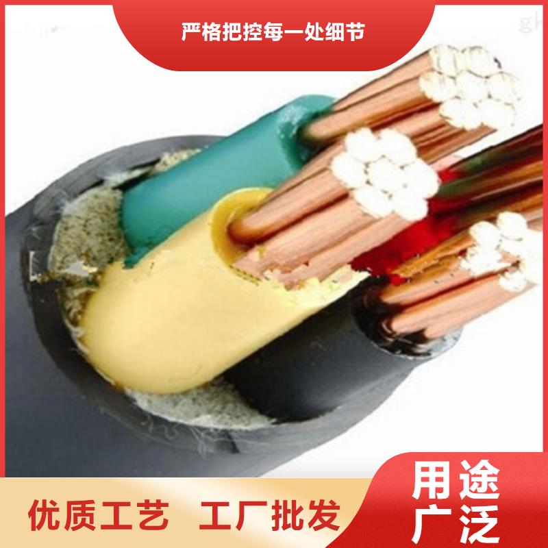 屏蔽电缆-视频-屏蔽电缆-湖南省湘潭市同城经销商-雨湖|韶山|郴州|永州|常德|岳阳|益阳|邵阳|怀化