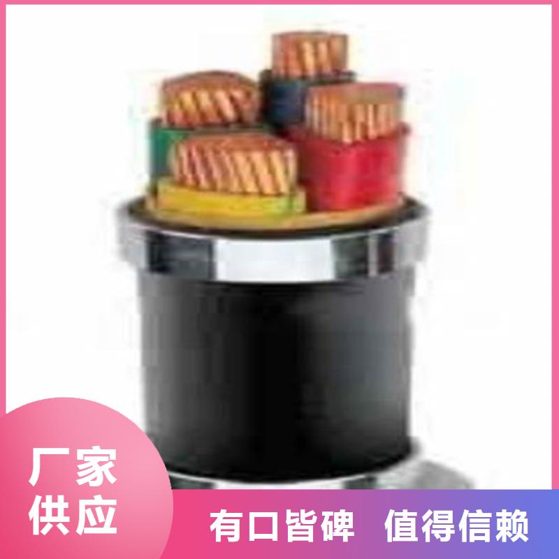 防水电力电缆FS-YJLV32 为您介绍
