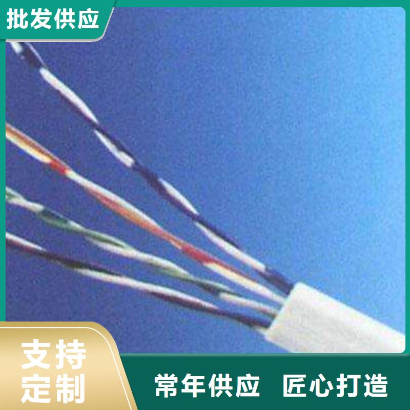 通信电缆厂家工艺先进