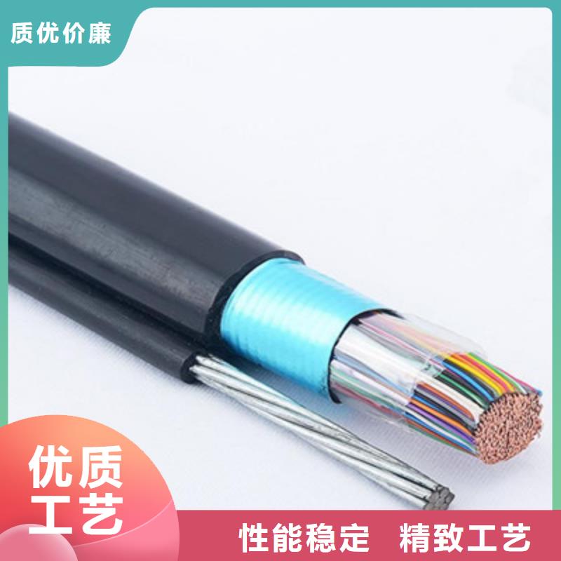 屏蔽电缆-视频-屏蔽电缆-广东省东莞市附近生产厂家-道滘镇|虎门镇|揭阳|肇庆|韶关|珠海|深圳|云浮