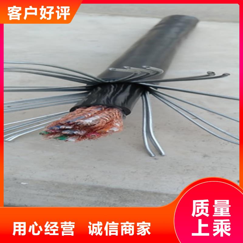 计算机耐高温电缆DJFVP3X2X1.0