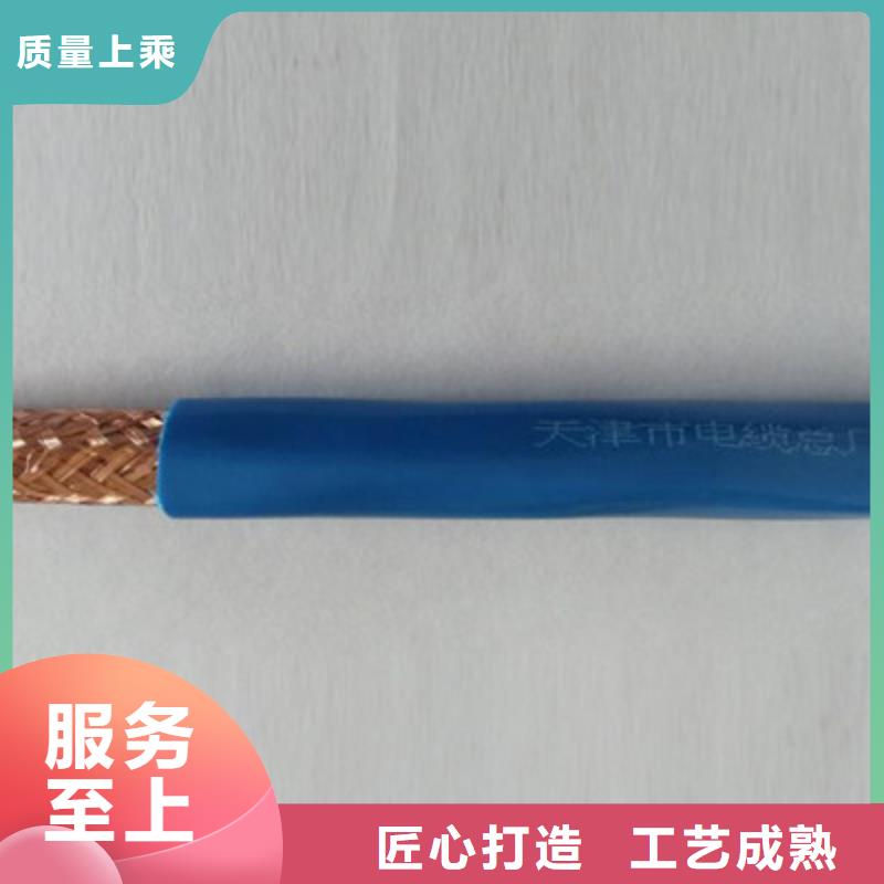 计算机电缆屏蔽电缆服务始终如一