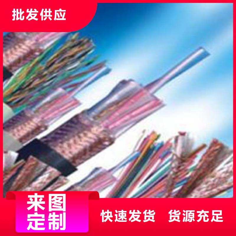 计算机电缆【电缆生产厂家】品质可靠
