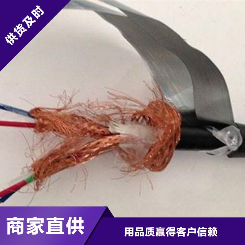 铠装计算机电缆DJVPV 6X2X2.5