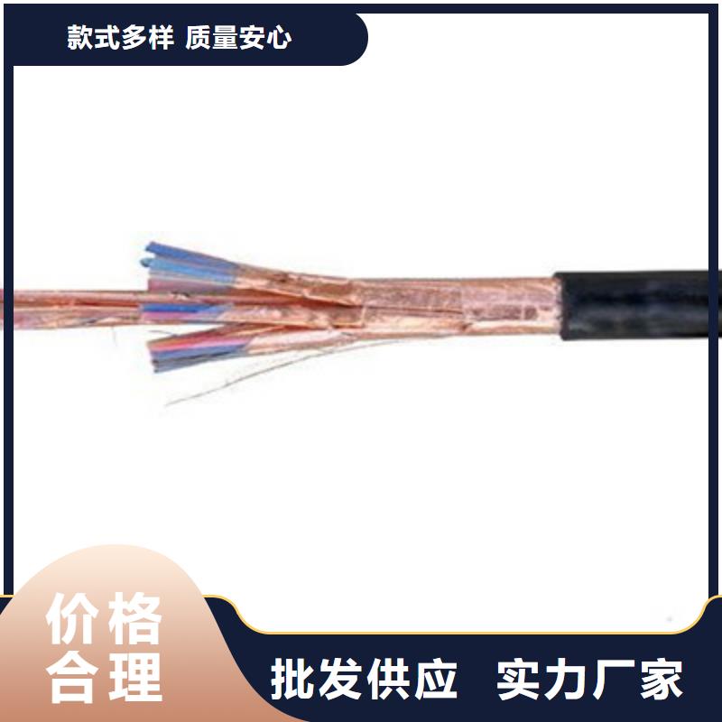 计算机电缆DJFP3FRP3 24X2X0.5