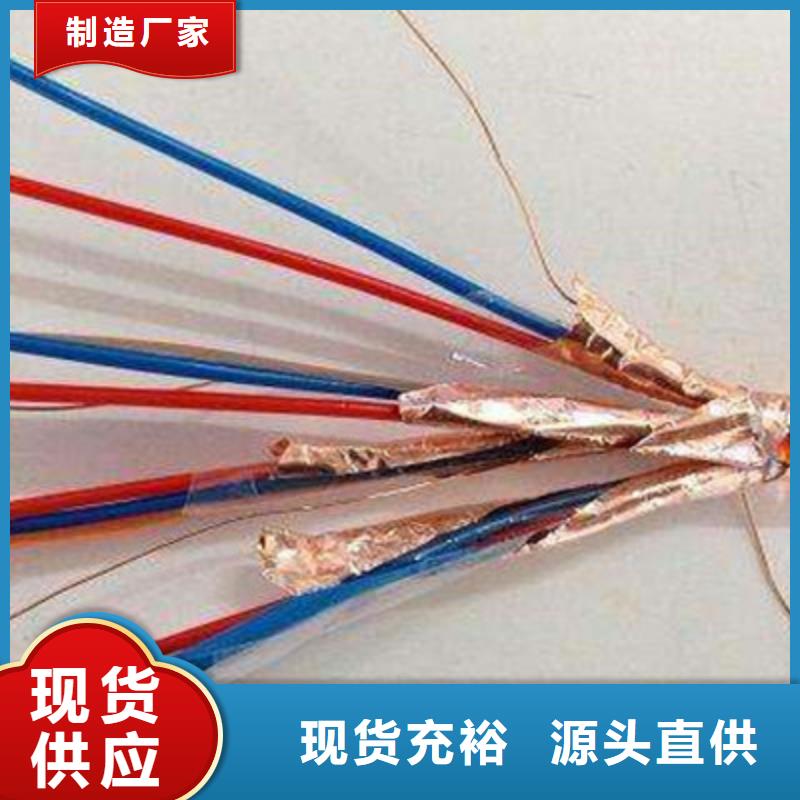 计算机电缆-屏蔽电缆源厂直销