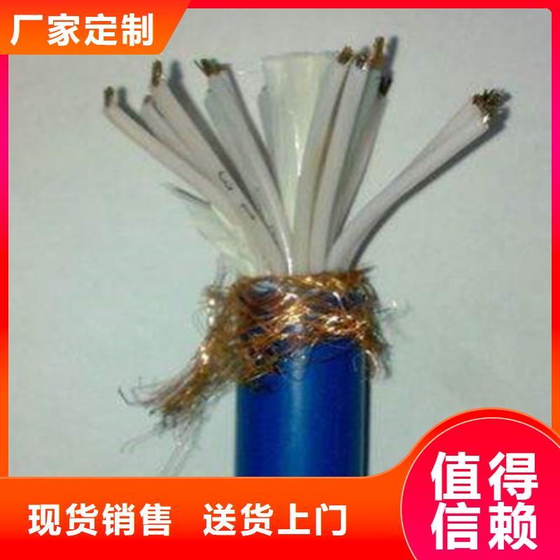 计算机电缆通信电缆设计制造销售服务一体
