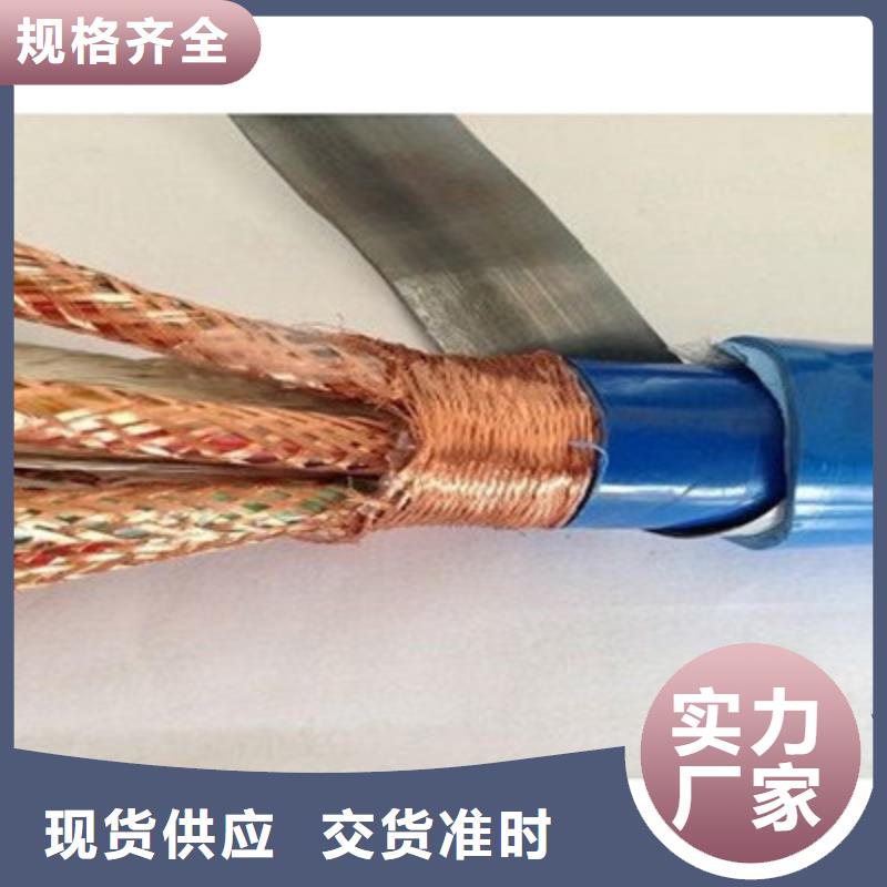 计算机电缆控制电缆专业生产团队