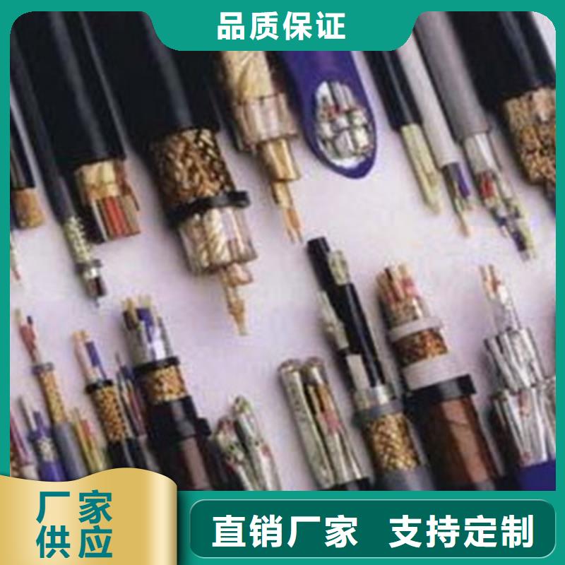 计算机电缆-屏蔽电缆源厂直销