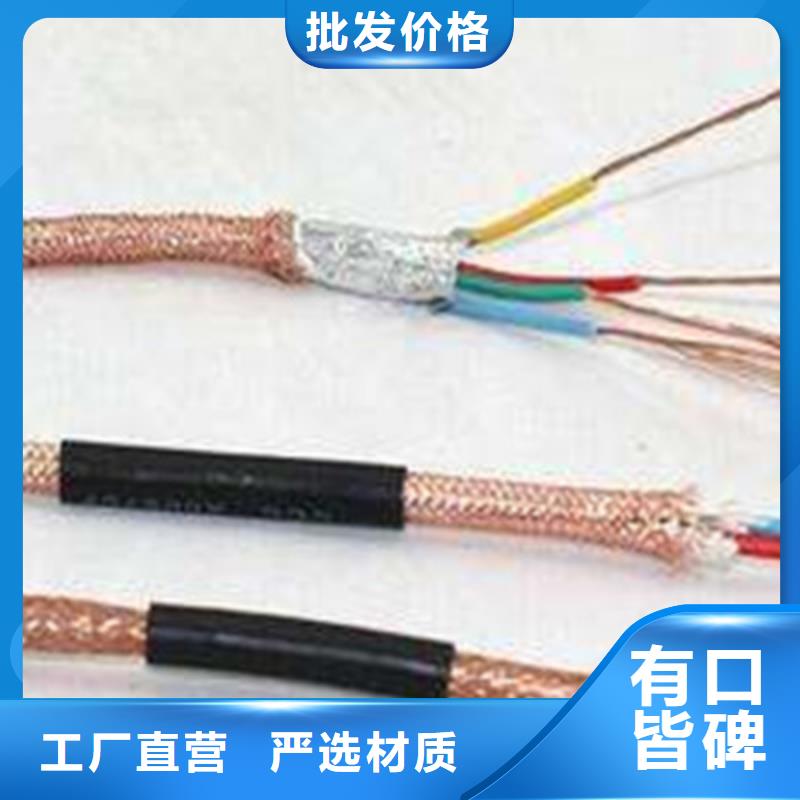 计算机耐高温电缆DJFPV16X2X0.75