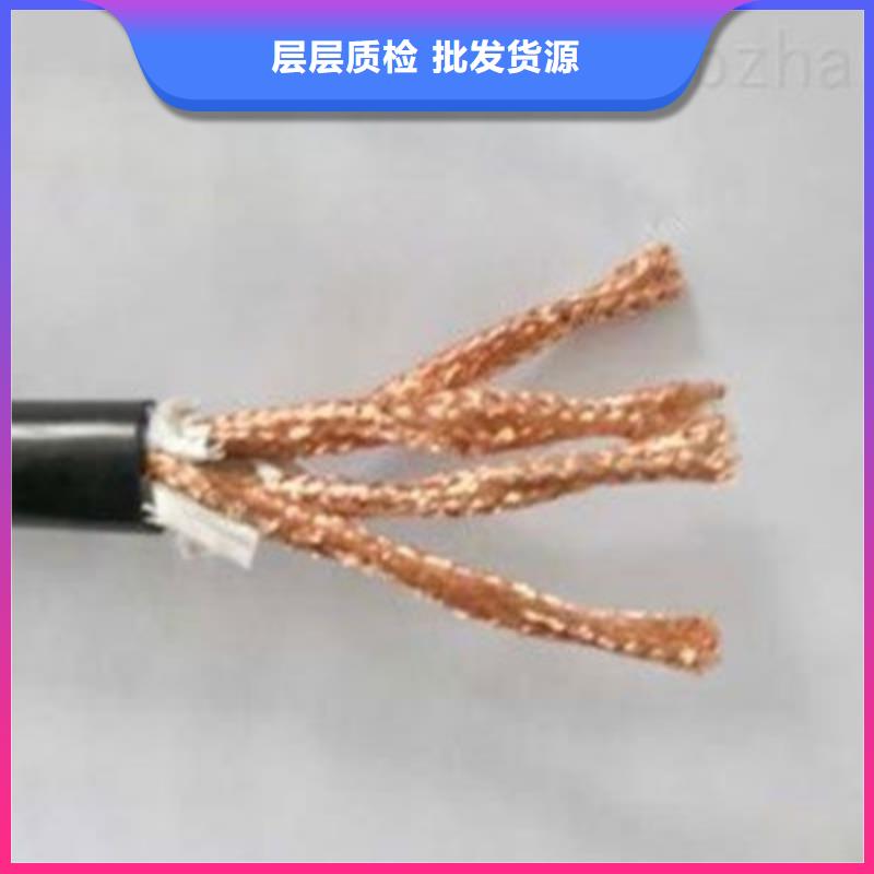 耐火计算机电缆NH-DJYJP2V 6X2X1.0