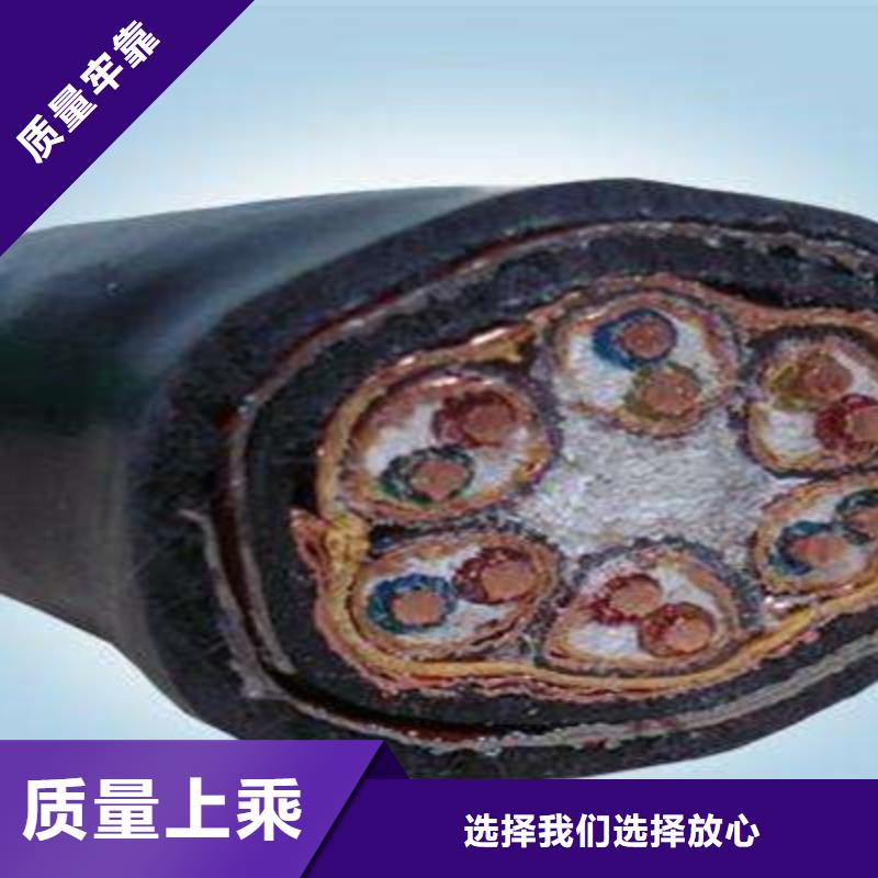 计算机电缆-屏蔽电缆一站式采购方便省心