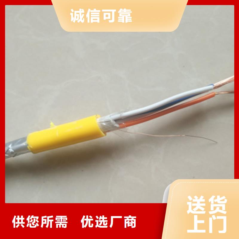 计算机电缆-屏蔽电缆源厂直销