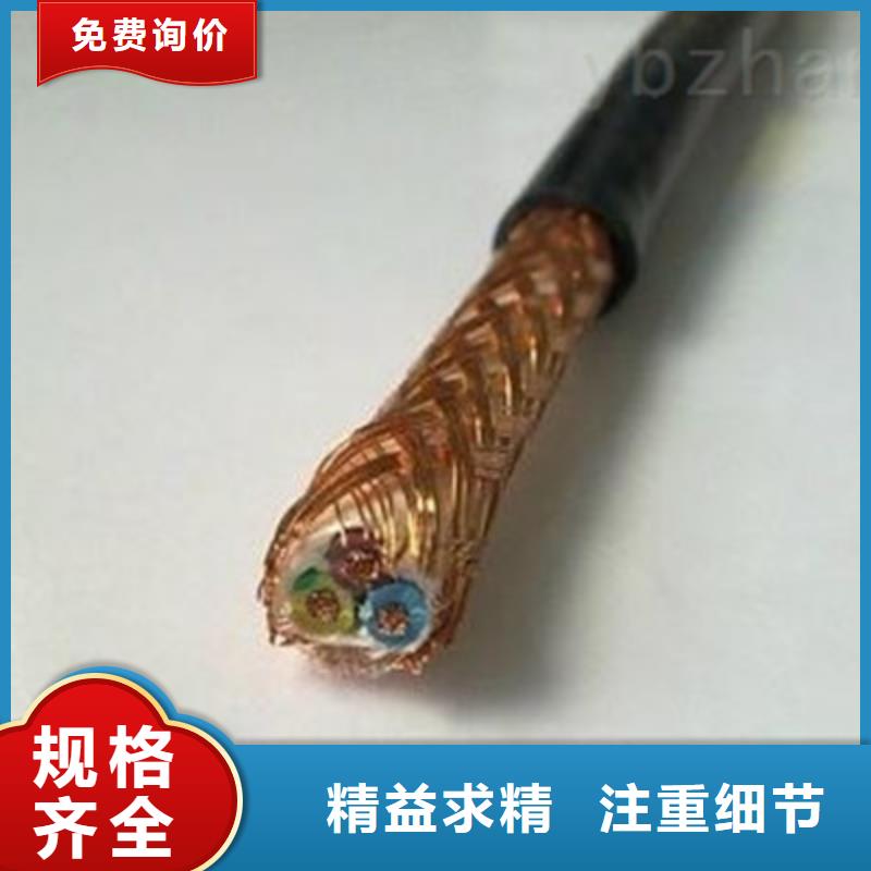 计算机电缆【电缆生产厂家】品质可靠