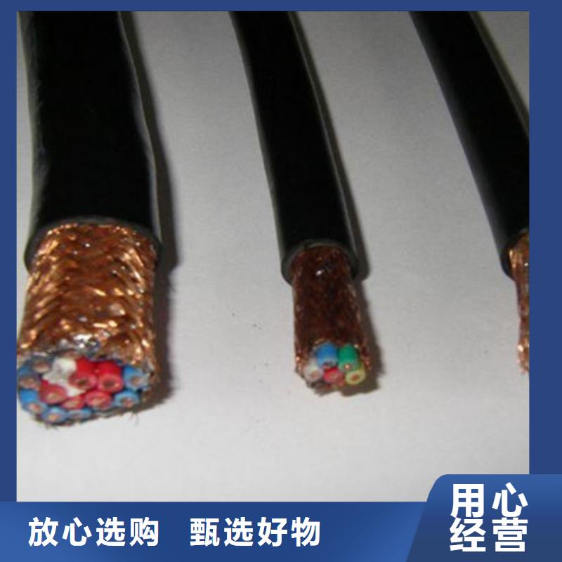 耐火计算机电缆NH-DJYJP3VP3-2224X2X0.75