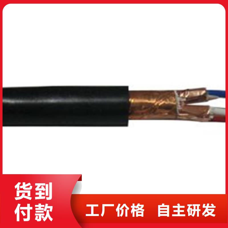 控制电缆屏蔽电缆品种全