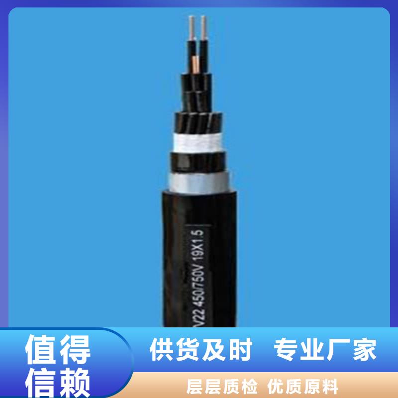 矿用控制电缆煤矿用阻燃通信电缆您想要的我们都有
