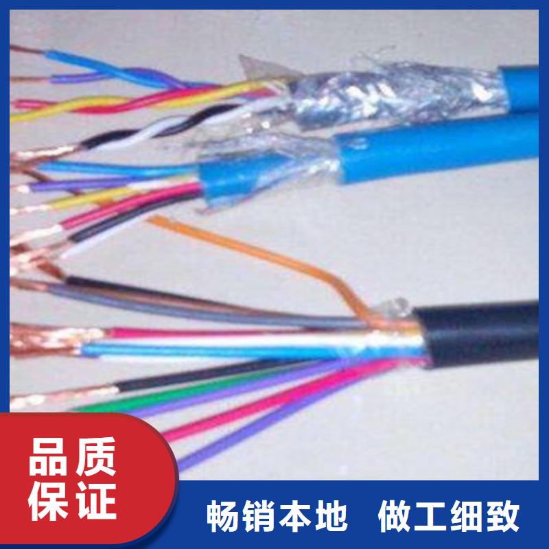 屏蔽电缆-视频-秦皇岛市屏蔽电缆-河北省秦皇岛市山海关|卢龙|廊坊|张家口|衡水|石家庄|保定【该地】厂家