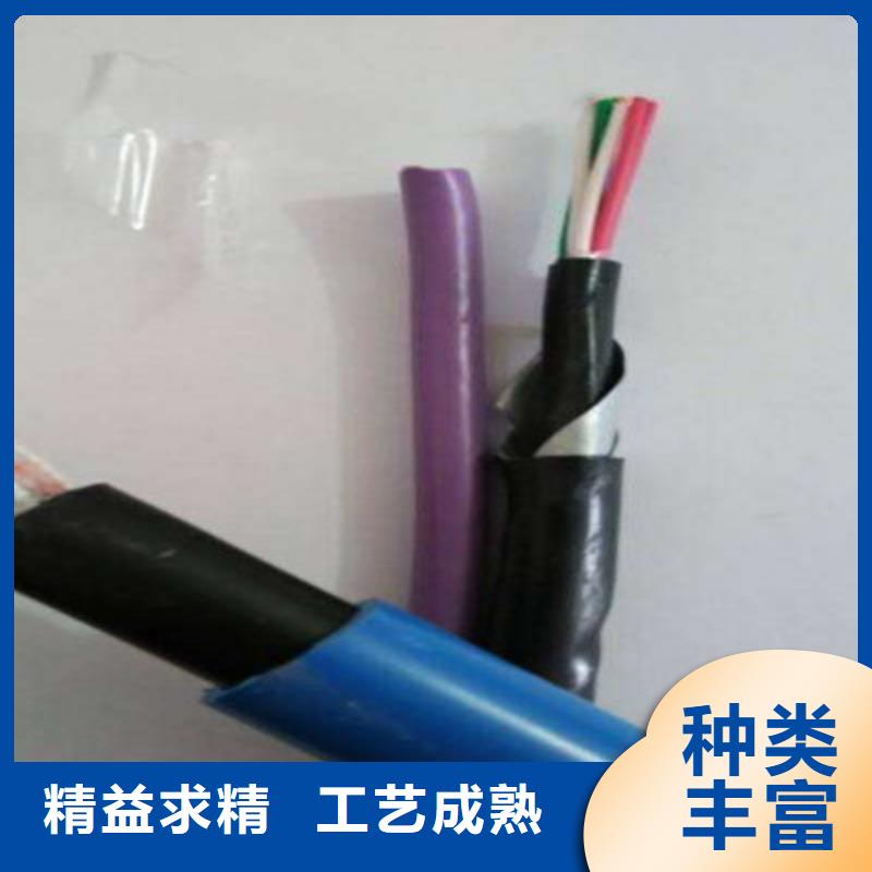 屏蔽电缆-视频-秦皇岛市屏蔽电缆-河北省秦皇岛市山海关|卢龙|廊坊|张家口|衡水|石家庄|保定【该地】厂家