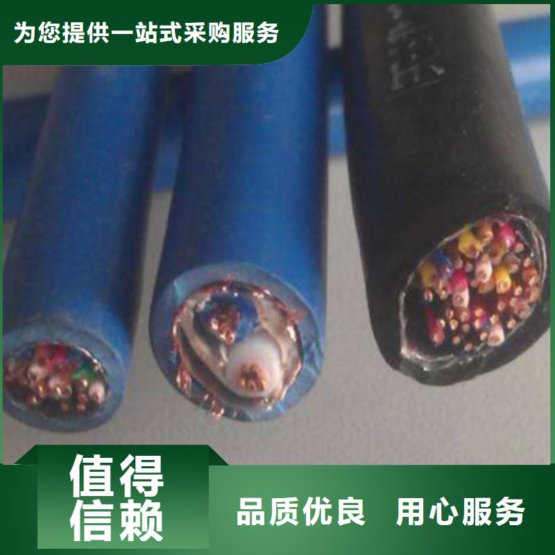 屏蔽电缆-视频-秦皇岛市屏蔽电缆-河北省秦皇岛市山海关|卢龙|廊坊|张家口|衡水|石家庄|保定【该地】厂家