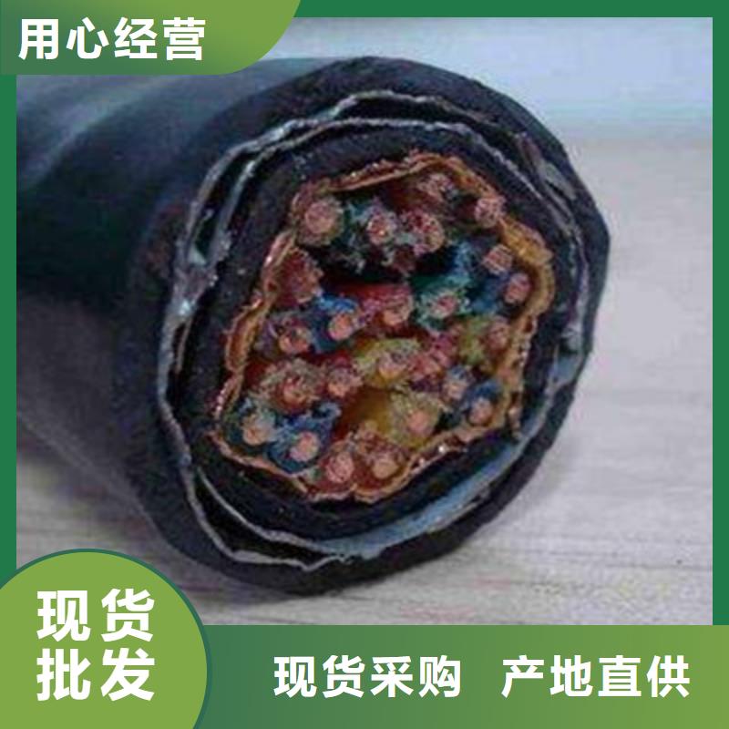 耐高温电缆信号电缆放心购