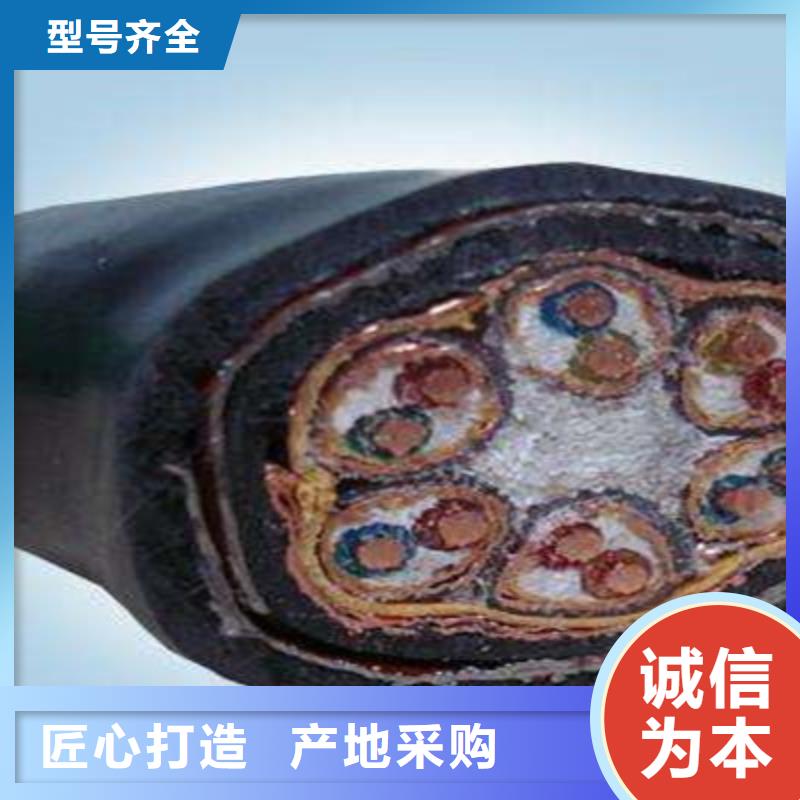 耐高温电缆_屏蔽电缆厂家采购