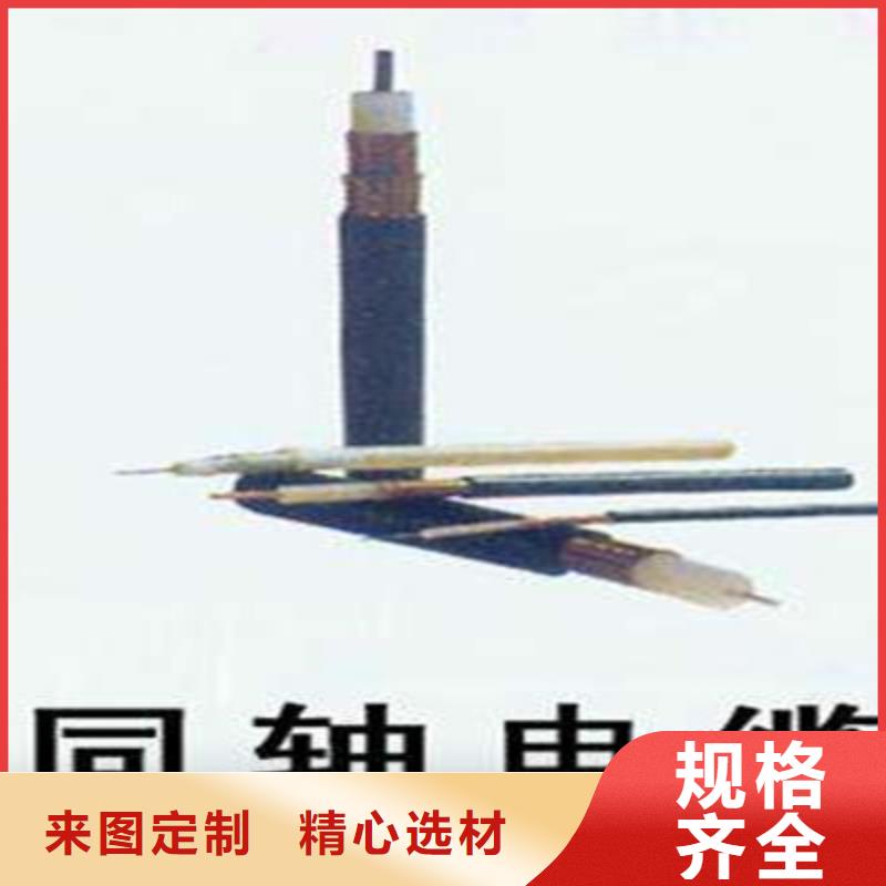 屏蔽电缆-视频-海北市屏蔽电缆-青海省海北市海东|海南|玉树|果洛|黄南本土厂家