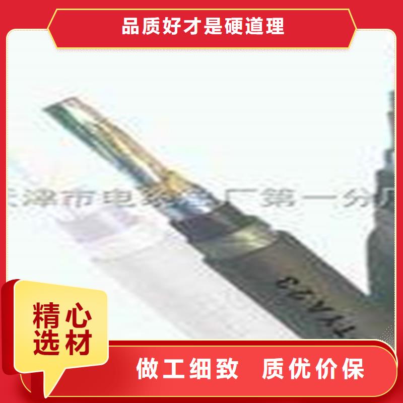 低烟低卤TZYV铁路隧道电缆