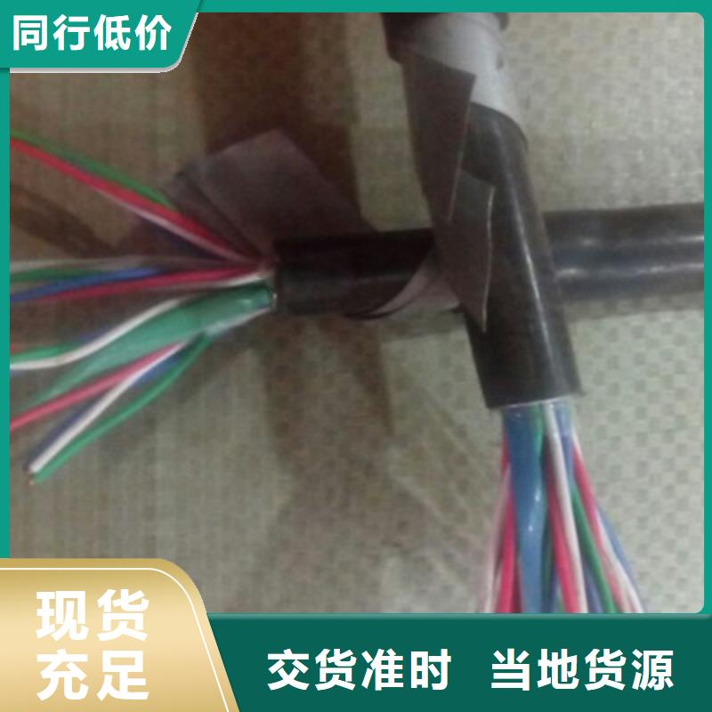 屏蔽电缆-视频-柳北|城中|河池|南宁|北海|贵港|来宾电缆屏蔽电缆_ 电缆总厂分厂(柳州市分公司)