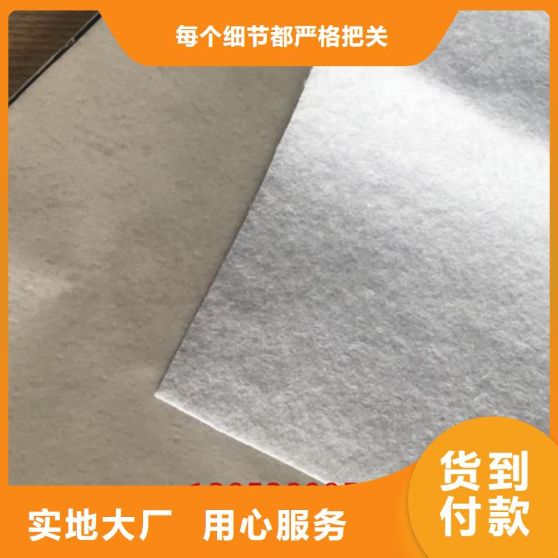 土工膜两布一膜同行低价