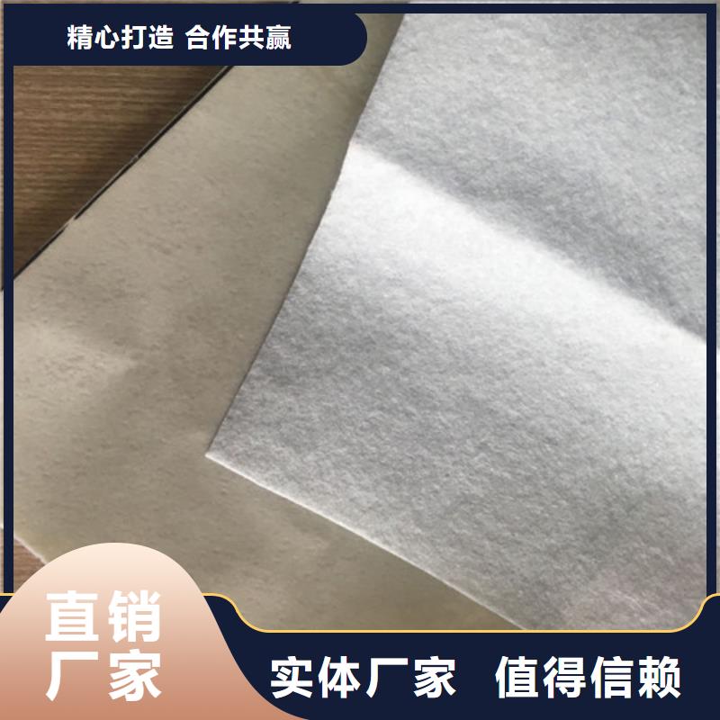 土工膜【防水板】批发供应