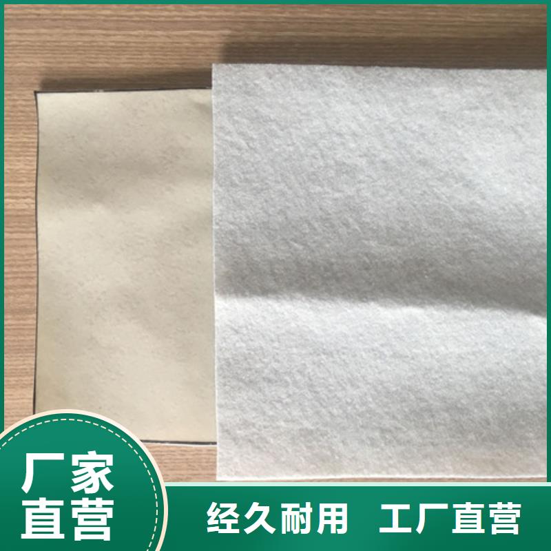 土工膜土工膜实体厂家